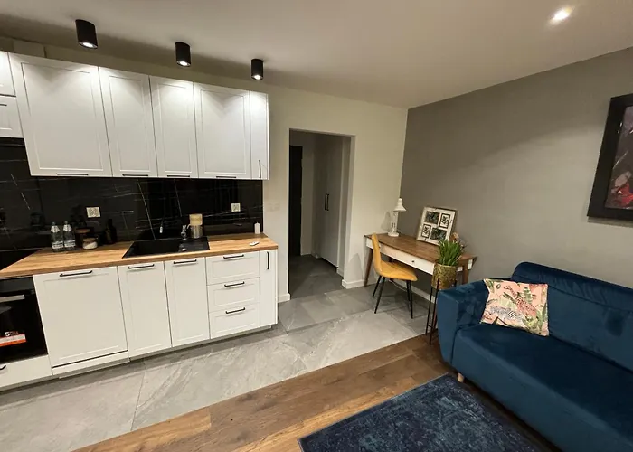 Apartament Art Premium Torun