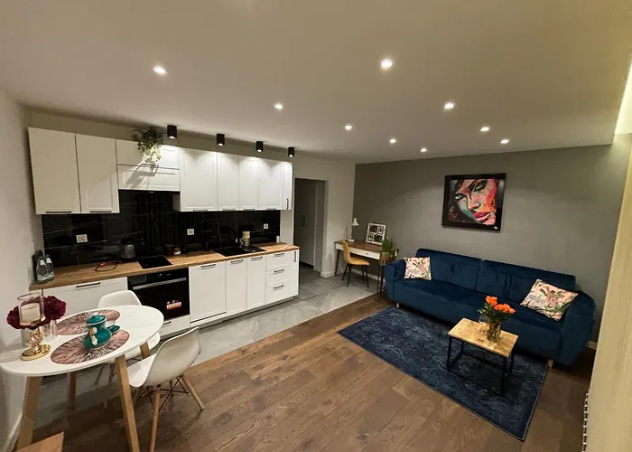 Apartament Art Premium Torun