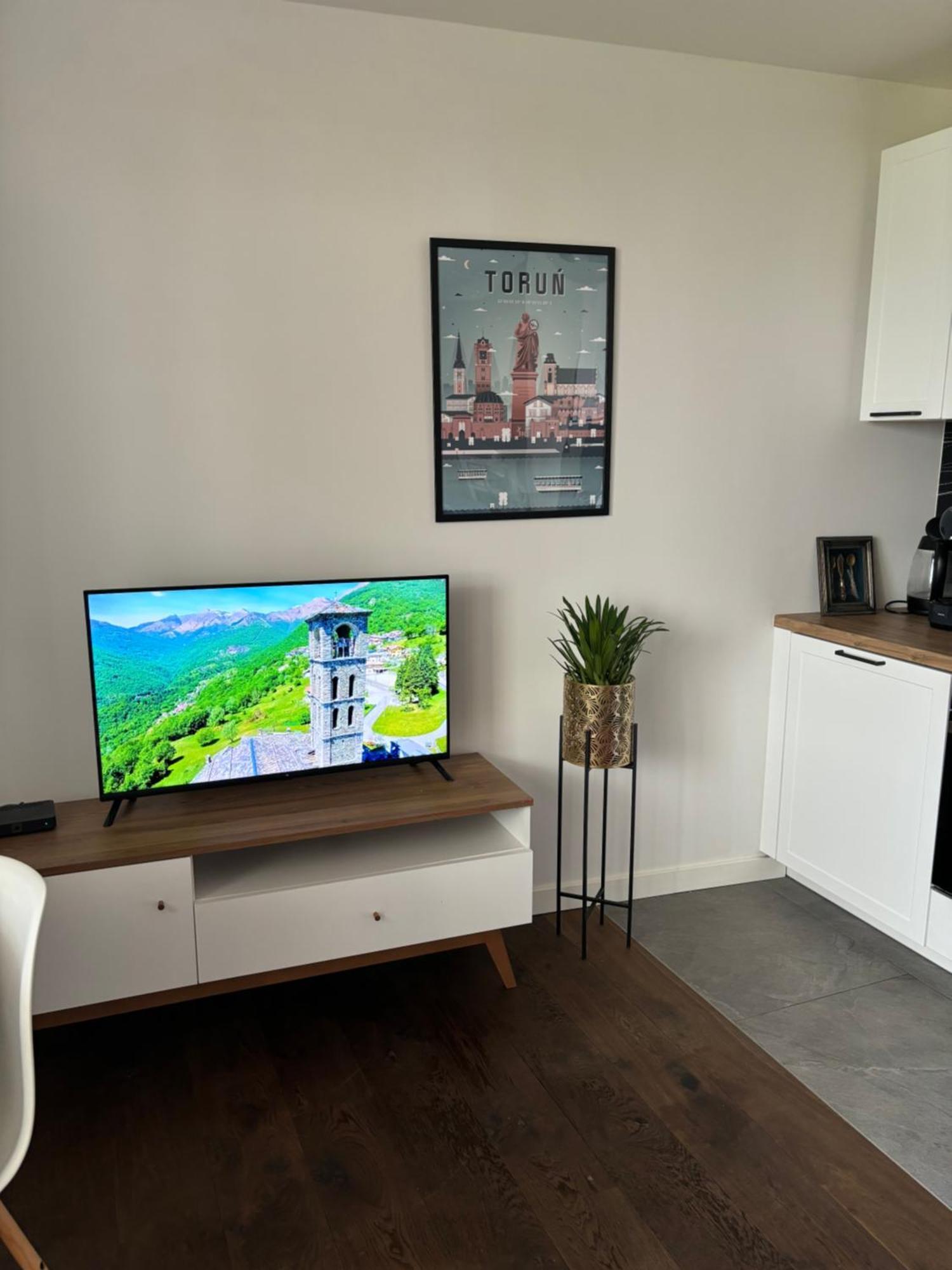 Art Premium Apartment Torun